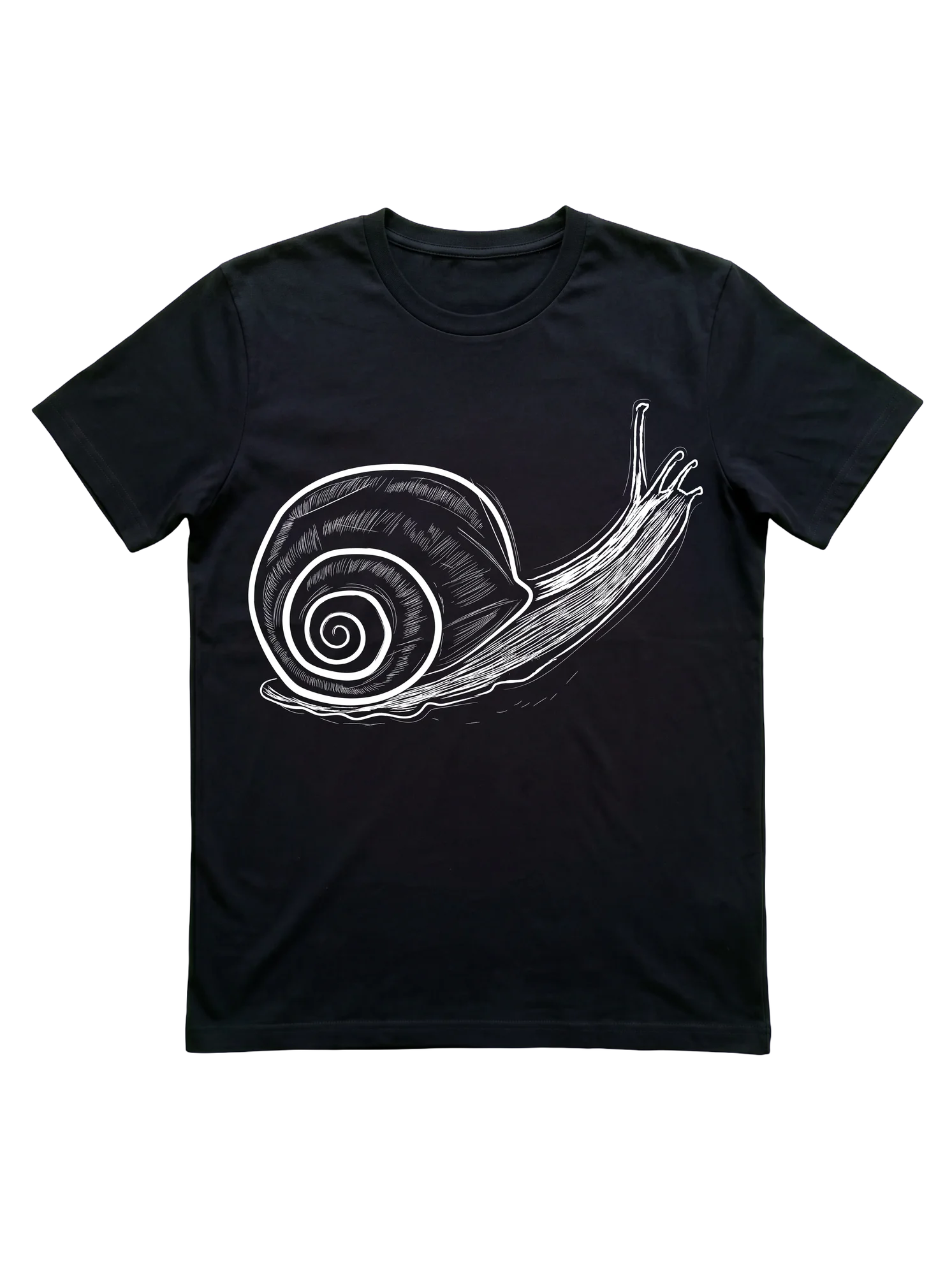 What does a garden snail look like when you strip away color and let the shell spiral do the talking?