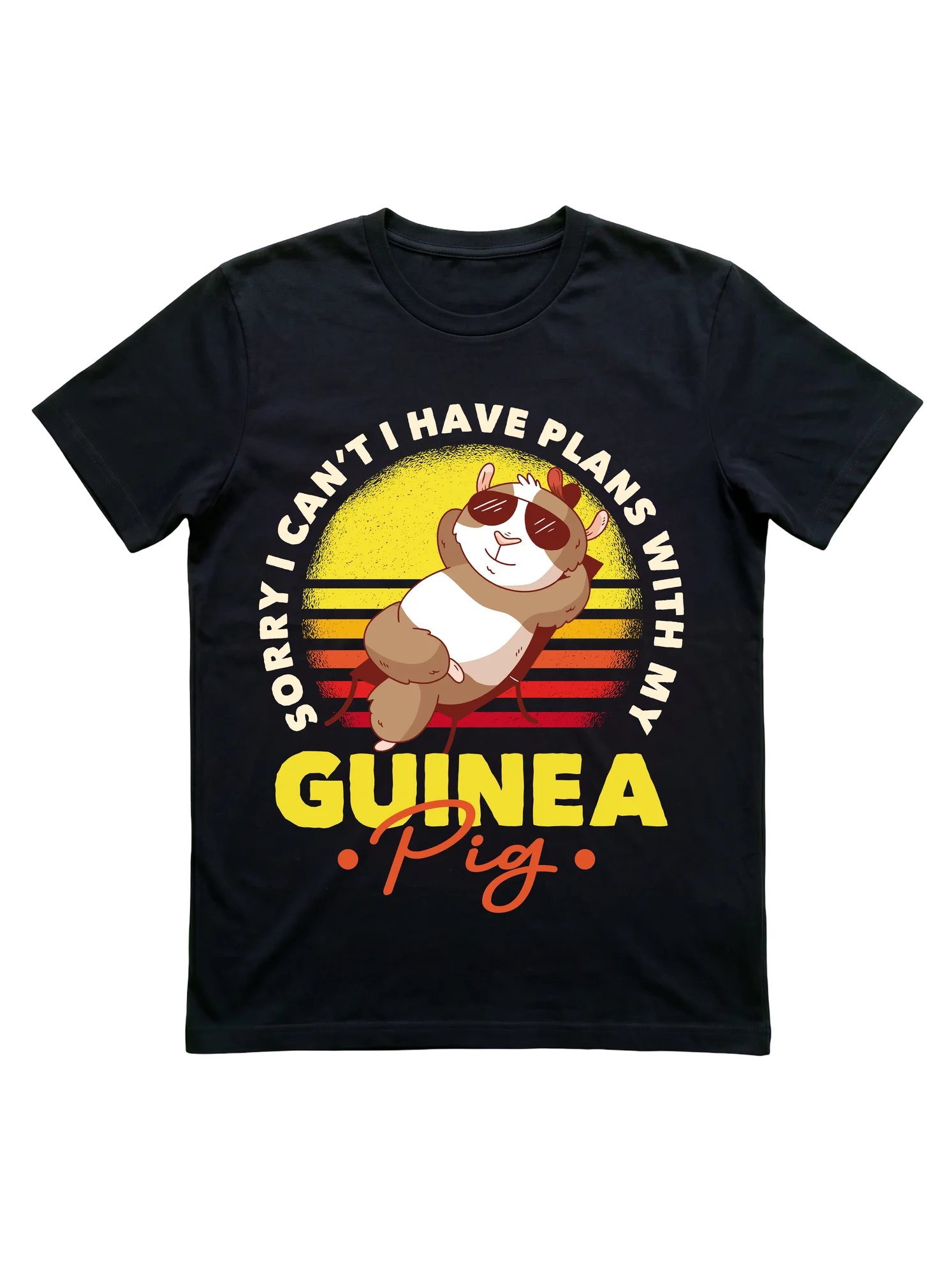 Plans With My Guinea Pig Retro Sunset T-Shirt